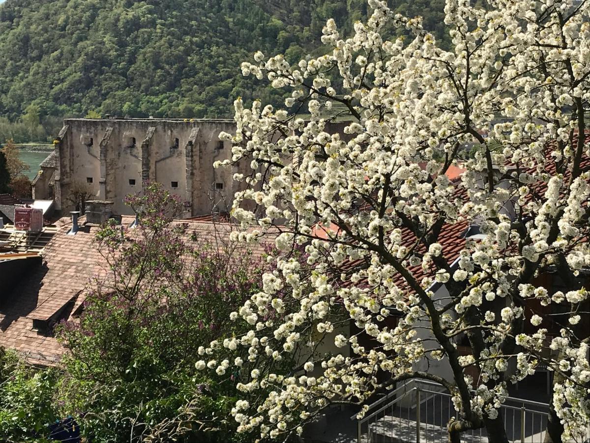 Pension Altes Rathaus Dürnstein Екстериор снимка